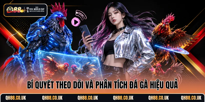 Bí quyết theo dõi và phân tích đá gà hiệu quả