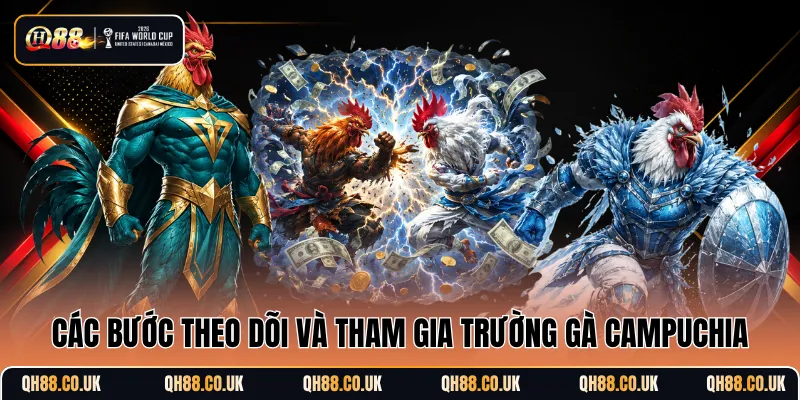 Các bước theo dõi và tham gia trường gà Campuchia