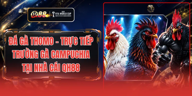 Đá Gà Thomo