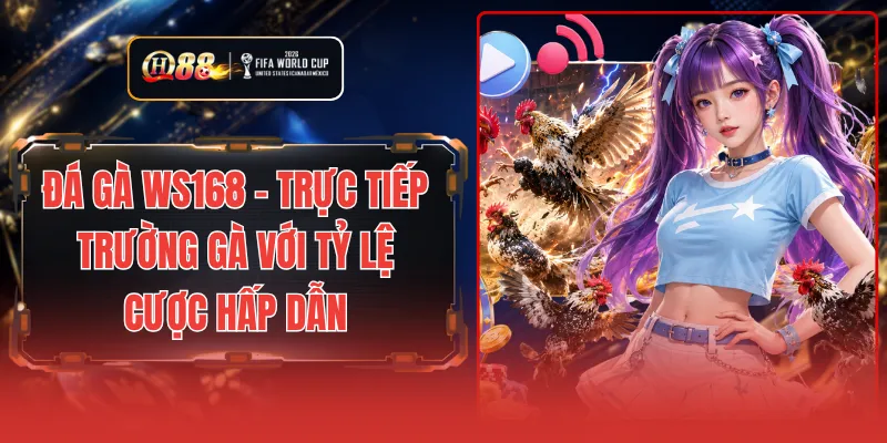 Đá gà WS168